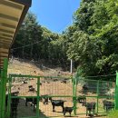 팔미농장 이미지