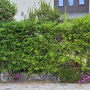 어느주택 이미지