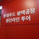 세븐일레븐 평택세교점 | [세븐마케터 27기] 롯데푸드 평택공장 견학 (대학생 대외활동 후기)