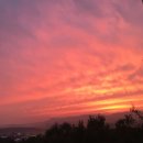 대산로545번길 이미지