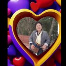 남해-249 이미지