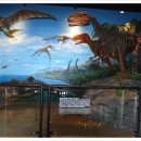 무주곤충박물관 이미지