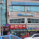 신약국 | 강원도 양양군 약국 List 추천 6곳, 열린 약국, 토요일, 일요일, 공휴일, 심야