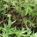 중앙공원-2 이미지