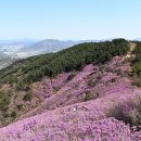 천주산 만남의 광장 이미지