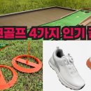 파크골프 인기 꿀템 퍼팅자동 연습기, 휴대용 홀컵 이미지