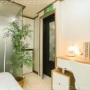 스테이 히어 이미지