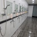 스윔 스타즈 이미지