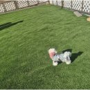 더블루네스 이미지