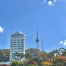 숲길 강아지 | 남산하늘숲길 강아지랑 방문 후기