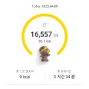 원조돼지부속