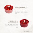 더신선라운지