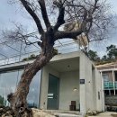 여수 화양면 감성이 예쁜 오션뷰 카페 공정 내돈내산 후기