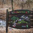 수레의산자연휴양림 이미지