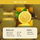케이스킨앤바디