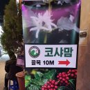 마전교 - 정선군 | 마전교