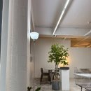 오르(ORRR) 이미지