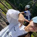 메디펠리즈 이미지