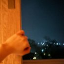 서울 근교 양평 촌캉스 숙소 체험 아이랑 용연농장