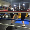 크로스핏 군산 이미지