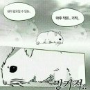 안나네 이미지