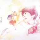 솔로그램 이미지