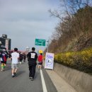예산로 | 2026년 예산마라톤대회 10km 완주 후기