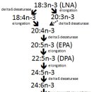 Re: Pork as a Source of Omega-3 Fatty Acids 이미지