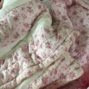 김포세탁 이미지