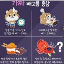 스타점핑다이어트 - 용인시 기흥구 | 스타점핑다이어트