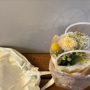 구룰루(Gululu) 이미지