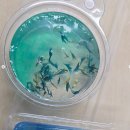 인구초등학교 이미지