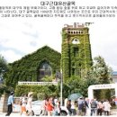 제일항공여행사 이미지