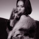 싱글 앨범 티저 화보 카카오 검색결과