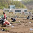 봉화산농장 이미지