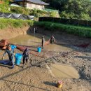 장어농장 이미지