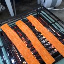 김행정사 사무소 이미지