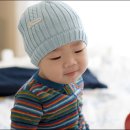 하진