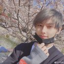 준휘 카카오 검색결과