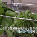 장수슈퍼 이미지