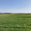 우리손 정읍농장 이미지