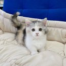 작고 소중해 이미지