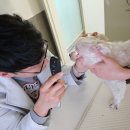 한마음 동물병원 네이버블로그