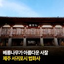 법화사 - 1013 | 구품연지와 배롱나무가 아름다운 사찰 제주 서귀포 법화사