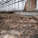 용촌3리 이미지