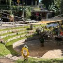 작은나무예술가(소품분재) | 치앙마이 반캉왓 예술가 마을후기