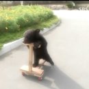 놀재로 | 7월이랑 8월 그 사이 3주년과 일상