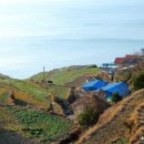 매천초등학교 이미지