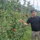 일광농원 이로운넷