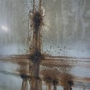 엔젤크루어린이수영장숭의점 이미지